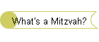 What's a Mitzvah?