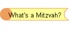 What's a Mitzvah?