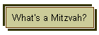 What's a Mitzvah?